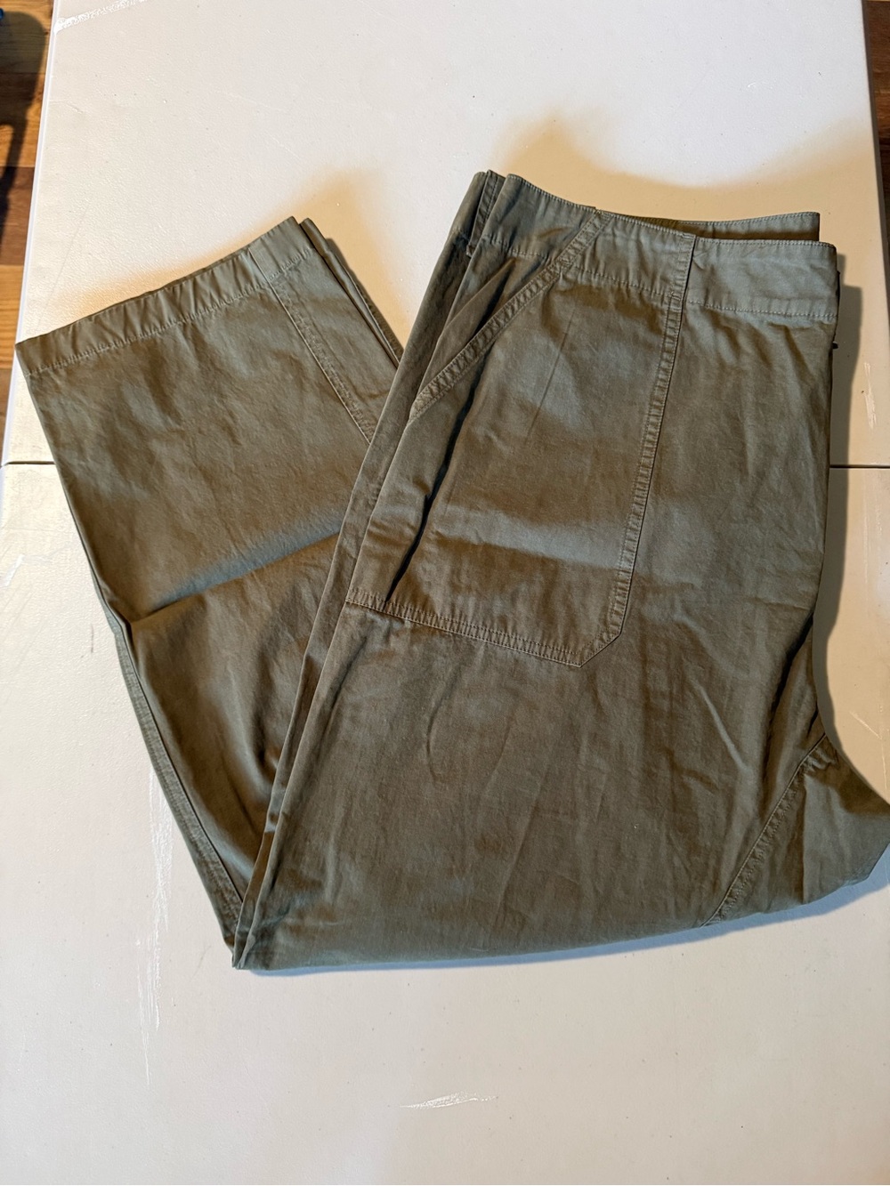 Rag & Bone Olive Green Casual Utility Pants sz 14 nwot